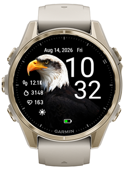 bald Eagle · Screenshot 1