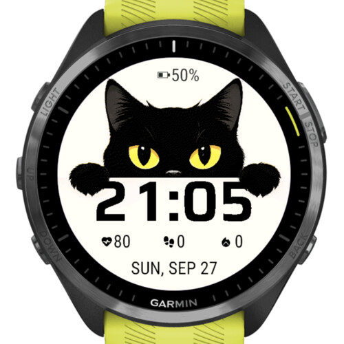 Black Cat 4 · Screenshot 2