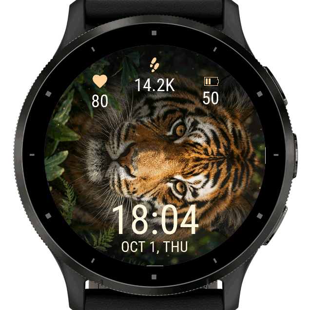 tiger · Screenshot 1