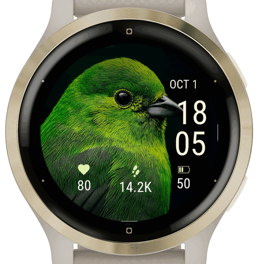 green bird · Screenshot 2
