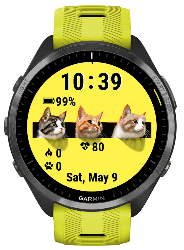CUTE CATS · Screenshot 0