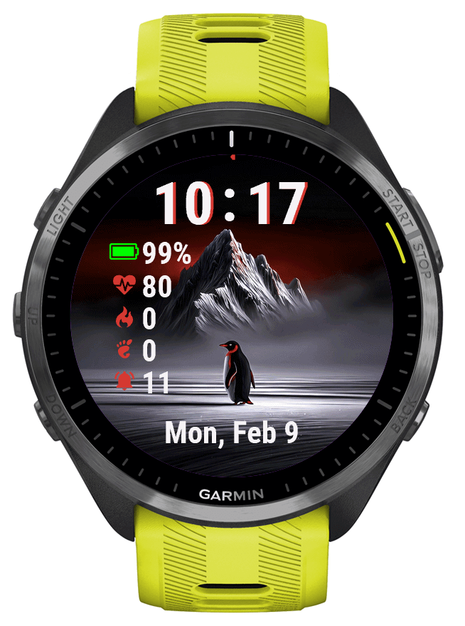 STEPS · Screenshot 2