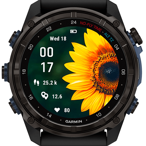 Radiant Sunflower G · Screenshot 2