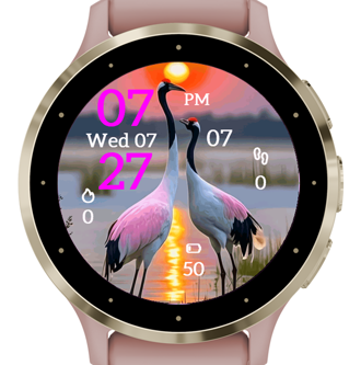 Evening Waterfowl · Screenshot 1