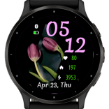 Tulip Time Tracker 3