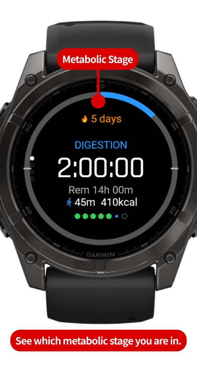 FastRing - Fasting Timer: 16:8, Stages & Fat Burn · Screenshot 1