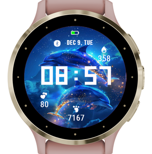 Two Dolphins · Screenshot 3