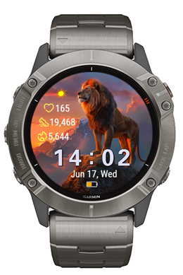 Lion Summit · Screenshot 0