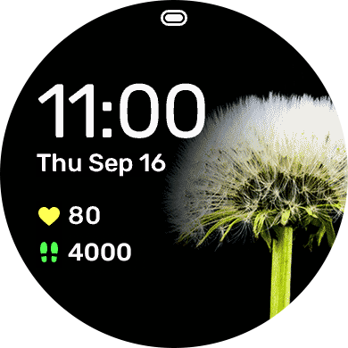 Dandy · Screenshot 3