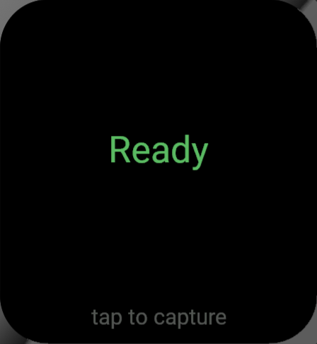 Everdo Capture · Screenshot 0