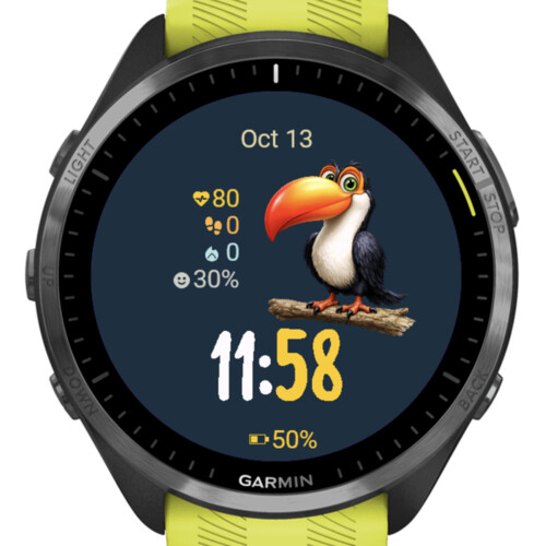 Cheerful Toucan · Screenshot 2