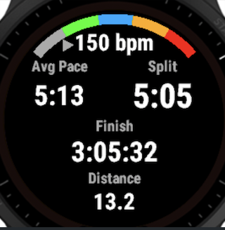 Race Pace Single Screen · Screenshot 0