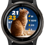 Paw 001 · Screenshot 3