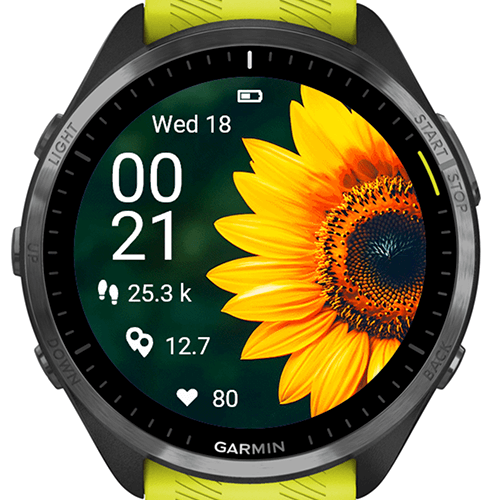 Radiant Sunflower G · Screenshot 1
