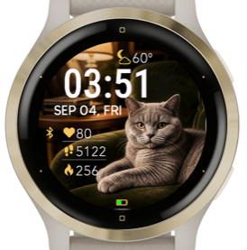 British Shorthair Library · Screenshot 0