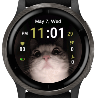 Curious Feline · Screenshot 3