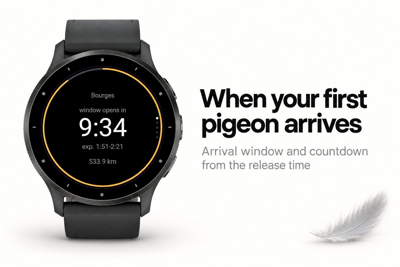 Homing - Pigeon race arrival window · Screenshot 0