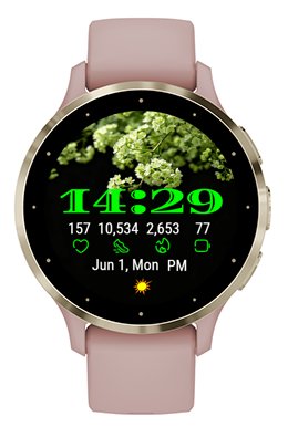 Soft Green · Screenshot 1
