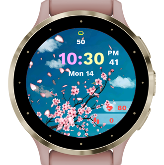Spring Watch · Screenshot 1
