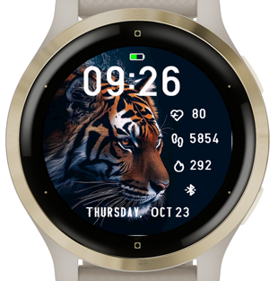 Tiger Four · Screenshot 0