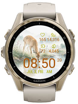 Stream Fawn · Screenshot 3