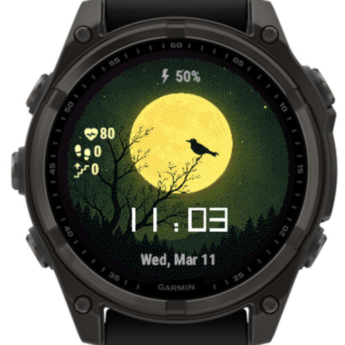 Moonlit Forest Bird · Screenshot 3
