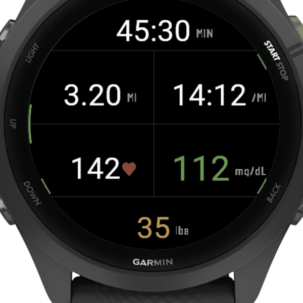 ToeTheLine-Life Companion Application · Screenshot 2