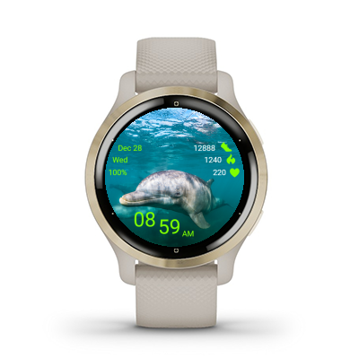 Dolphin 03 · Screenshot 2