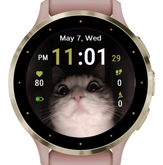 Curious Feline · Screenshot 0