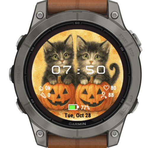 Twin Halloween Kittens · Screenshot 2