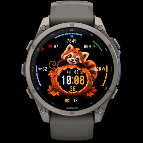 Animal Pumpkin · Screenshot 1