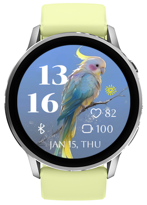 Pretty Parrot · Screenshot 1