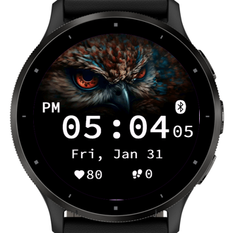 Wise Owl · Screenshot 1