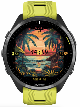 Tropical Paradise · Screenshot 1