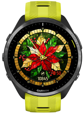 Poinsettia · Screenshot 1