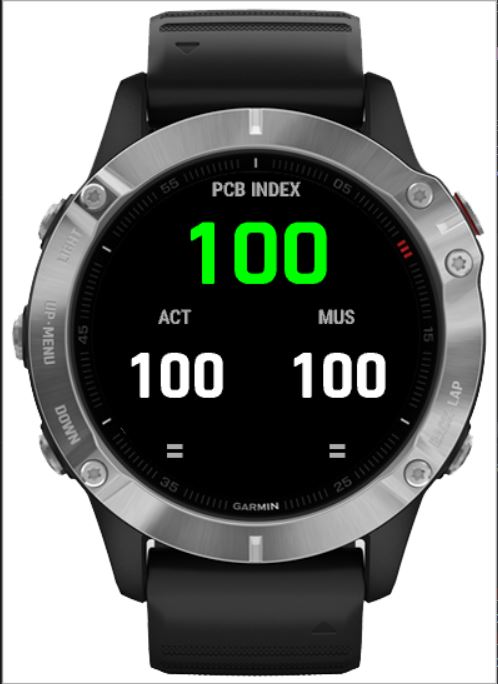 PCB Index – Real-Time Energy & Fatigue Tracker for · Screenshot 1