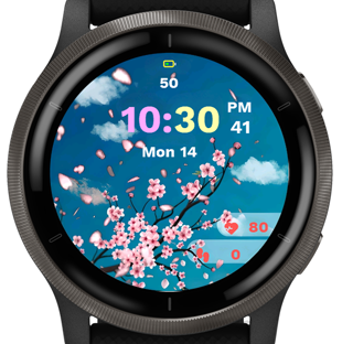 Spring Watch · Screenshot 2