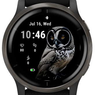 Gaze Owl · Screenshot 3