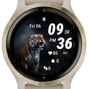 Roar Tiger · Screenshot 2