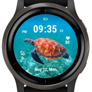 Coral Turtle · Screenshot 3