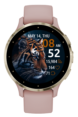 Tiger Shadow · Screenshot 2
