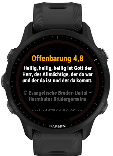Die Losungen · Screenshot 1