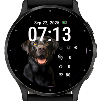 Black Dog · Screenshot 2