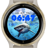 Shark Four · Screenshot 1