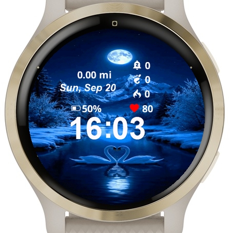 Two Swans Swimming Water · Screenshot 0