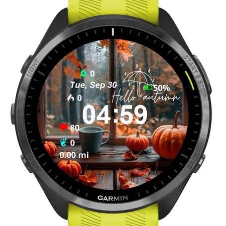 Autumn Pumpkins · Screenshot 0