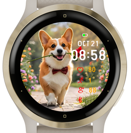 Welsh Corgi · Screenshot 1