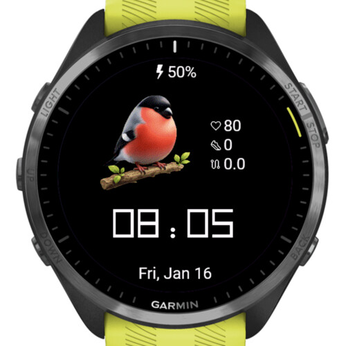 Cute Bullfinch · Screenshot 1
