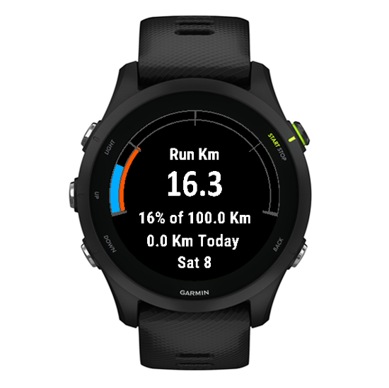 Monthly Running Distance Goal Widget · Screenshot 2
