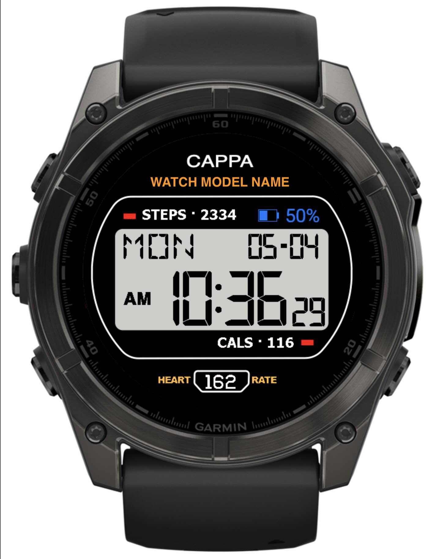Vintage Digital CAPPA A171WE 3